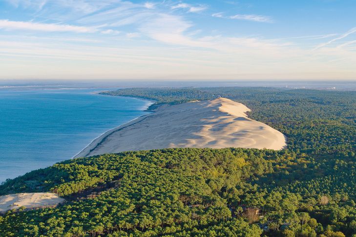 evjf arcachon - balade en foret