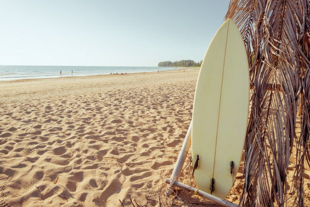 idées-evjf-arcachon-cours-de-surf-evjf-à-arcachon