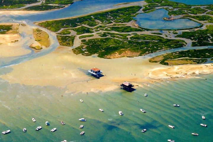 idées evjf arcachon - visiter l'ile aux oiseaux à arcachon