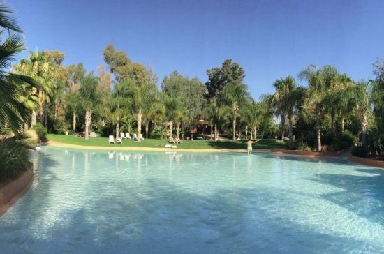 idées evjf marrakech - piscine dans un oasis marrakech