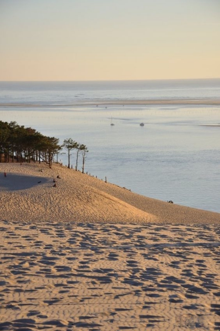 vue sur la dune du pilat et la plage darcachon